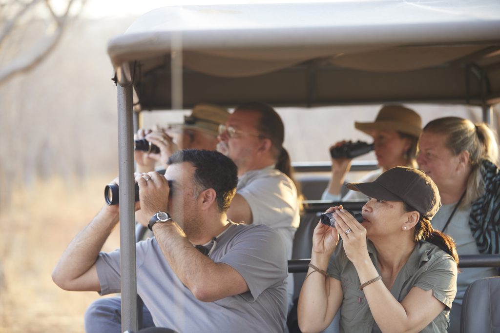 safari tours