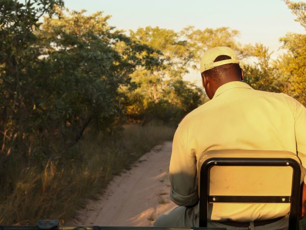 The Ultimate South African Experience